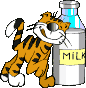 Katze 1